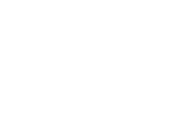 CES